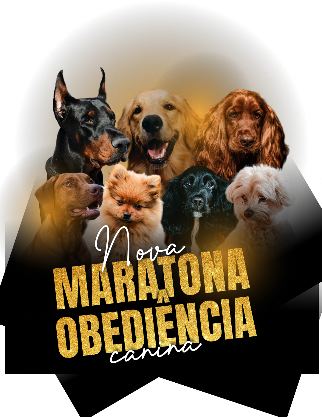 LOGO MARATONA OBEDIENCIA CANINA - FT CACHORROS PNG 30