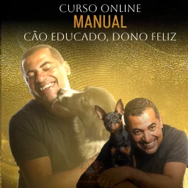 cao educado dono feliz