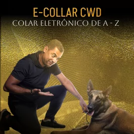 ecollar cwd