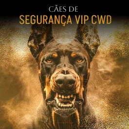 segurança vip