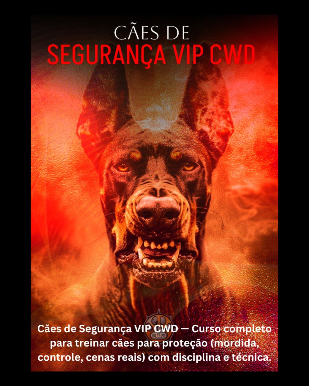 photo_5166133191193070341_y