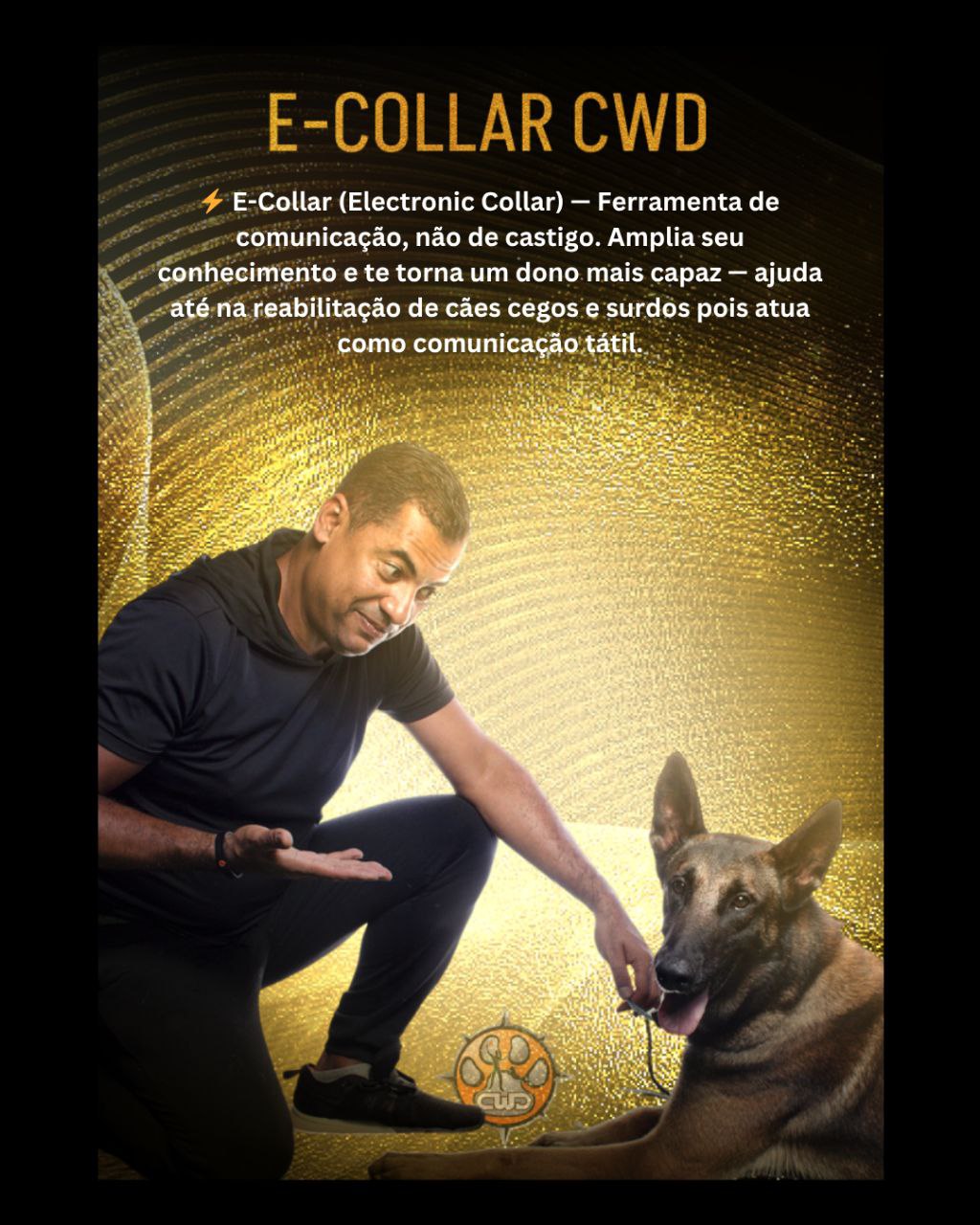 photo_5166133191193070343_y